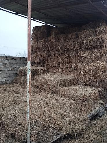 Təmiz bağ otu 200 dənə – təbii biçindən Məhsul təsviri:Təmiz bağ