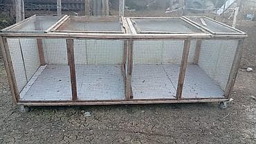 qax heyvan bazar: Salam Buyurub isteyen Elqe saxlasin Fanarkadan Hazirlanmayib Tam özune — 3