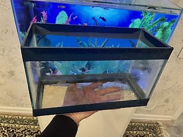 Dördbucaq akvarium, Boş, 10 l, Ödənişli çatdırılma