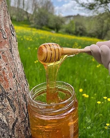 patchi qiyməti: ƏSL BAL AXTARANLAR ÜÇÜN 🍯 Meşə, cökə çiçəyi və may balı 🌿 Dağ–meşə — 1