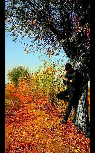 evd is elanlari: Super menzereli yerlerde shekillerin chekilmesi ve reng effekti ile — 1