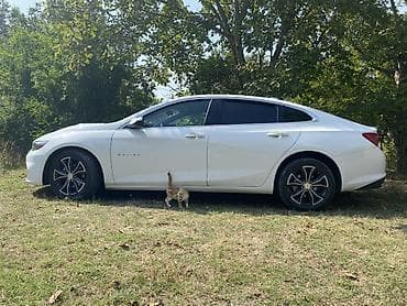 luaz satilir: Chevrolet Malibu sedan – ağ rəng, zərif və dinamik dizayn — 3