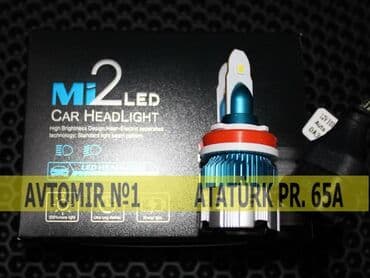 Lampalar: MI2 LED H11 — 1