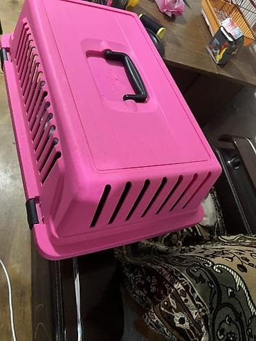 ev pisikleri: İşledilmeyib etiketi de üstündedir en böyük modeldir 60 alınıb 50 azn — 3