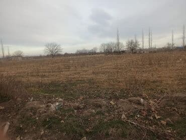 аренда дачи в баку: 8 соток, Для строительства, Собственник, Купчая — 3