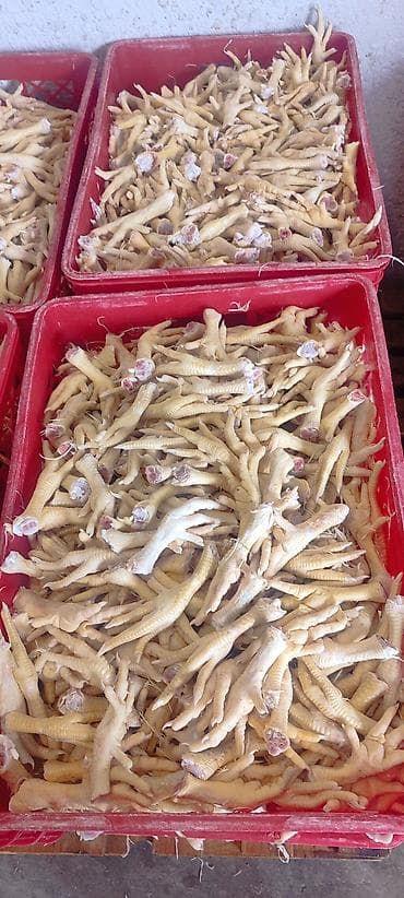 kömür toptan: Digər brend Toyuq Topdan — 5