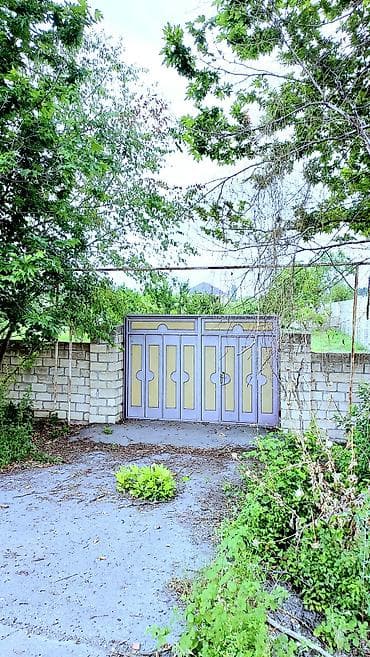 sahe: 24 sot, Tikinti, Mülkiyyətçi, Kupça (Çıxarış) — 1
