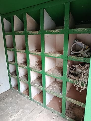 qarderob yuvası: Göy rəngli taxta quşxana/sərçəxana - Material: taxta karkas, taxta — 4