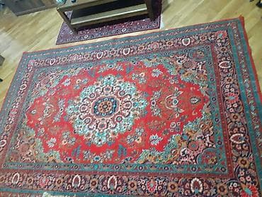 at sekilleri: Xalça Dekorativ, Kredit yoxdur — 1