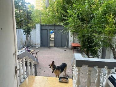 binə atçiliq: Azadliq metrosuna yaxın 5 mertebeli binanın 1-ci mərtəbəsində yerləşən — 8