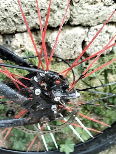 velosi̇pet: Salam 26lıgdı 260mya alınıb sadece skoruslar keçmir,sürende arabir ses — 6