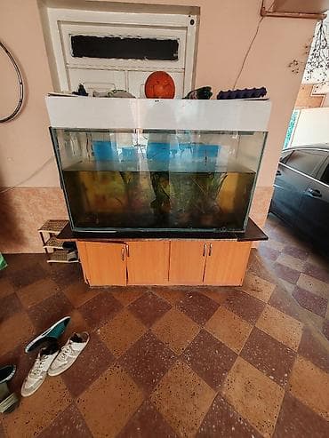 akvarium lampa: 1.20uzunu Eni 50sm Hündürlüyü 90sm Üsdünün kinişkasıda VAR vintilasiya — 1