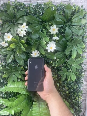 iphone xr 64 gb qiymeti: IPhone Xr, 64 GB, Qara, Face ID, Zəmanət — 1