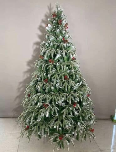 böyük yolka: Yolka — 1