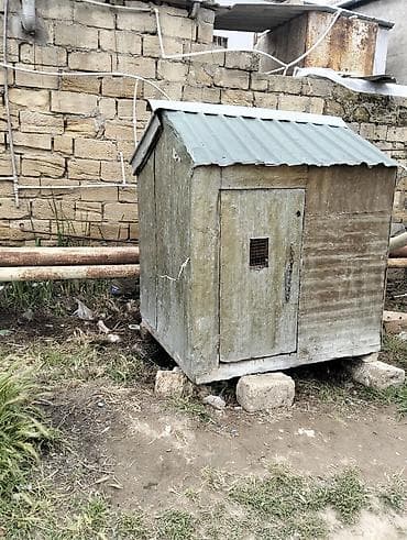 heyvan bazarı: Metaldan və taxtadan yığılma quşxana/ göyərçin yuvası - Korpus: metal — 1