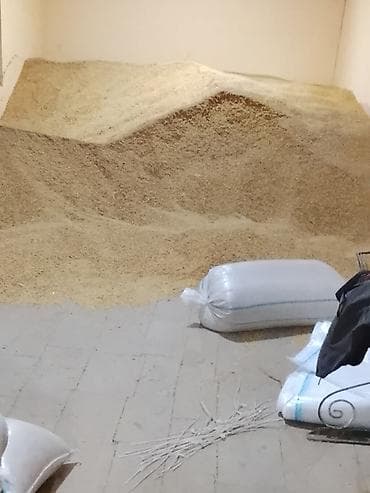 Собаки: Məhsul: Arpa (qabıqlı, xırda dənli) Təsvir: - Təmizlənmiş, ələnmiş — 2