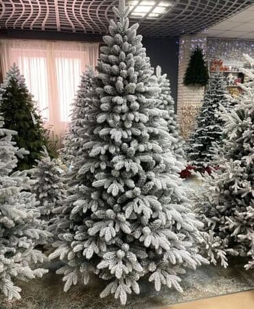 турецкие сейфовые двери в баку: Yolkalar Arginal Qarı tökulmuyən Avropa uçun nezerde tutulmuş — 1