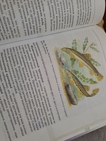 7 ci sinif riyaziyyat dersliyi pdf yukle: Общая биология,10-11 классы — 3