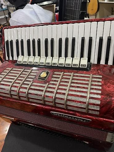 Barabanlar: Akustik Akkordeon, İşlənmiş, Pulsuz çatdırılma — 1