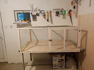 Dovşan,hamster,şinşila,bildirçin,cücə,xamyak,pişik,quş ve s kimi ev