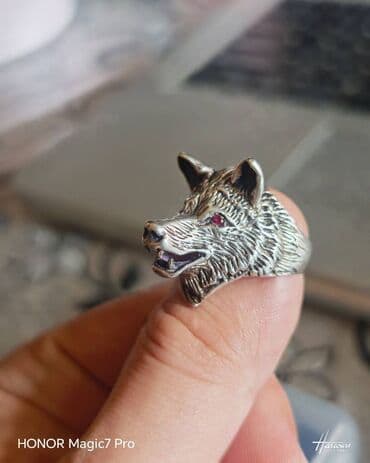 Мужская одежда: Кольцо, Серебро — 3