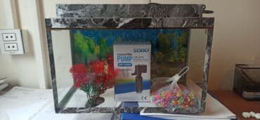 Akvariumlar: Dördbucaq akvarium, Boş, 10 l, Ünvandan götürmə — 2