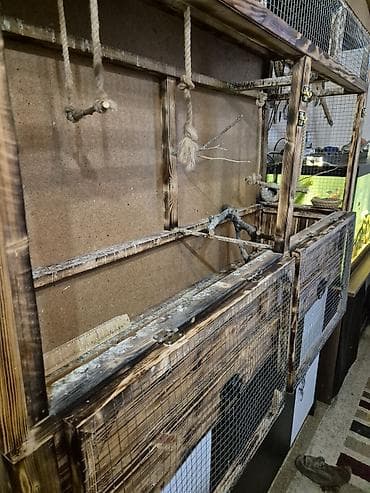 Taxta voliər/şaquli qəfəs Ölçülər (şəkildə göstərildiyi kimi): - — 2