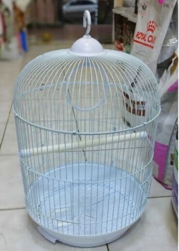 bildirçin satilir 80 qep: Quş qəfəsləri – müxtəlif forma və rənglərdə var.Qiymətlər 15 manatdan — 1