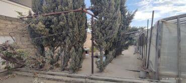 bir sot torpaq nece metrdir: 12 otaq, 310 kv. m, Kredit yoxdur, Təmirsiz — 16