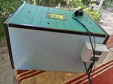 İnkubatorlar: Yumurta inkubatoru - Elektron termostat və rəqəmsal temperatur — 2