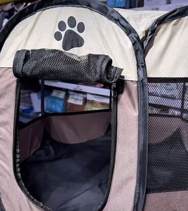 İtlər: Britan, Dişi, Yaxşı əllərə, Ünvandan götürmə, Ödənişli çatdırılma — 6