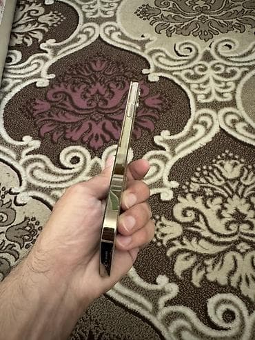 ip 12: IPhone 12 Pro Max, Qızılı — 6