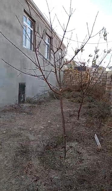 Bağ evlərinin satışı: Bakı, 100 kv. m, 3 otaqlı, Hovuzsuz, Qaz, İşıq, Su — 4