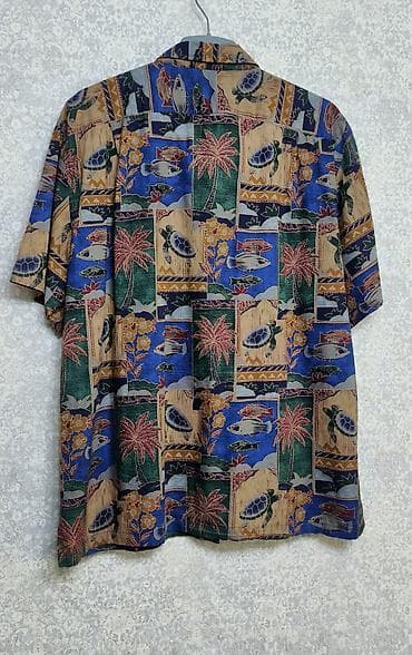 Мужская одежда: Мужская рубашка, 2XL — 5