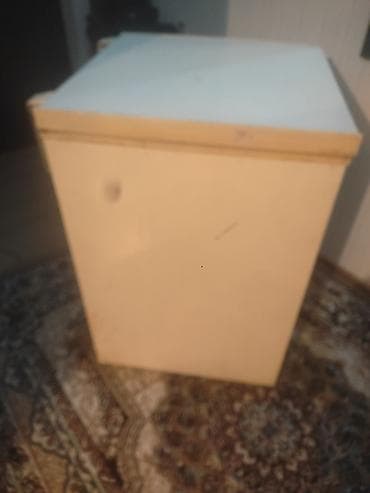 xaladenik satiram: Dondurucu sandıq tipli kamera - Tip: Üstdən qapaqlı sandıq dondurucu — 2