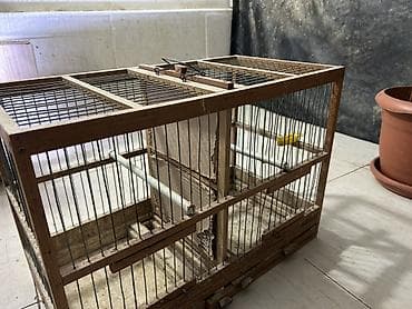 quş ucun qəfəs: Bülbül qafəsi arakəsməli taxtadır — 2