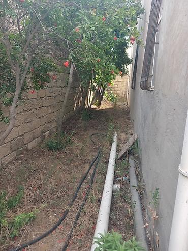 yari tikili: 8 otaq, 230 kv. m — 9