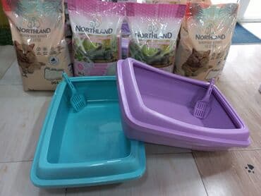 chappi it yemi: Məhsul: Pişik tualeti və örtülü pişik tualet kabinləri (bir neçə — 9