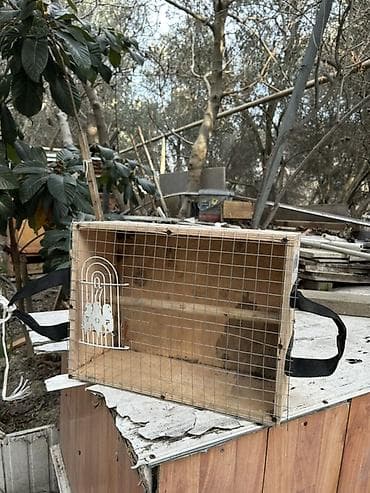 keci seki: Taxta və torlu daşıma qəfəsi - Material: kontrplak gövdə və — 2