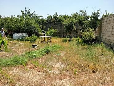 sumqayitda ev: 6 sot, Tikinti, Makler, Kupça (Çıxarış) — 4
