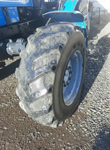 İşlənmiş Şin Belshyna R 13