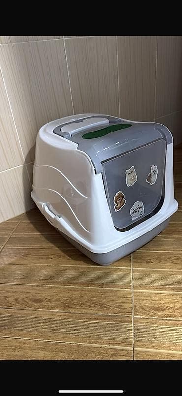 bala pişikler: Pisik ucun latok ve yem qabi daragi, bit daragi, oyuncagi birlikde 40 — 2