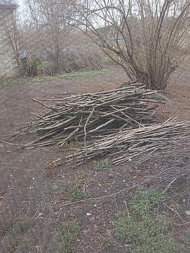 en ucuz jaluzi perde: Bir Qazel ağacından odun - Tərkib: Qazel (fındıq kolu) ağacından — 1