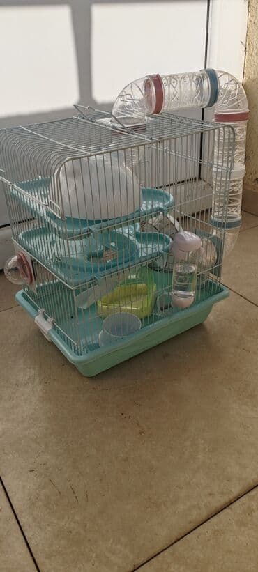 cunqarik qəfəsi: Xamyak qəfəsi — 2