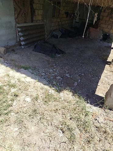 emlak alqi satqisi: 200 sot, Mülkiyyətçi, Kupça (Çıxarış) — 6