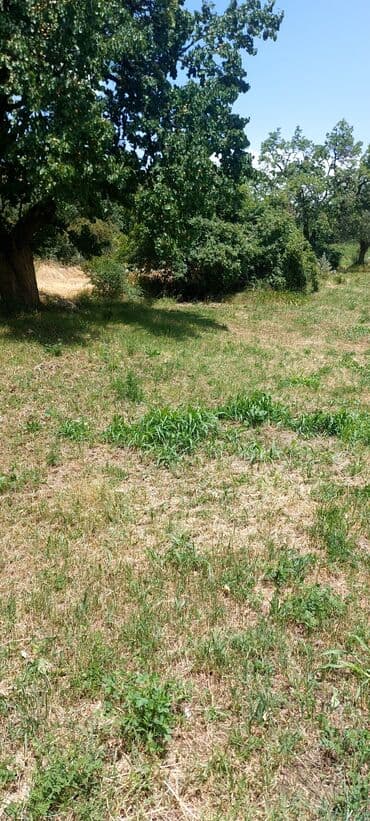 аренда и продажа недвижимости: Əkin sahəsi kənd təsərrüfatı fəaliyyəti üçün geniş imkanlar təklif — 1