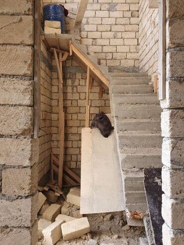 həyət evləri: Masazır 4 otaqlı, 120 kv. m, Kredit var, Təmirsiz — 4