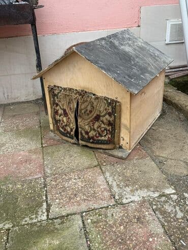 Lincoln: •	Yaşı: 4 aylıq (5 aylığa keçəcək) 	•	Tam aktiv və sağlamdır 	•	Bütün — 9