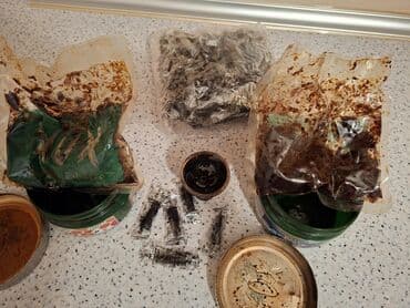 ВАЗ (ЛАДА): Qəlyan tütünü və aksesuar seti Tütün biraz istifadə edilib, qoxular — 2