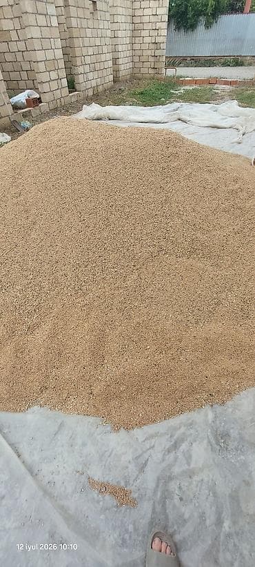 Дом и сад: Buğda klyonka üstünde. 5. 6 ton kim istese Whatsapla elaqe saxlasin — 3
